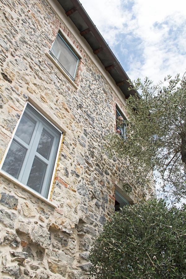 La Terrazza Con L'ulivo - Affittacamere Con Terrazzo E Vista Sul Golfo Dei Poeti