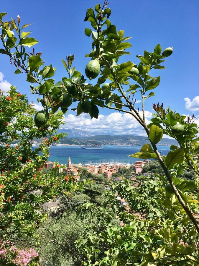 La Terrazza Con L'ulivo - Affittacamere Con Terrazzo E Vista Sul Golfo Dei Poeti Affittacamere La Spezia